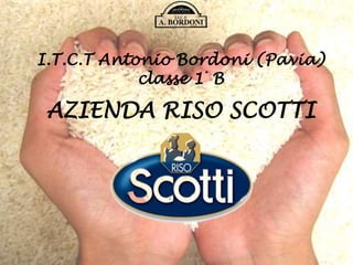 I.T.C.T Antonio Bordoni (Pavia)
classe 1° B
AZIENDA RISO SCOTTI
 
