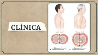 CLÍNICA
 