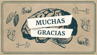 GRACIAS
MUCHAS
 