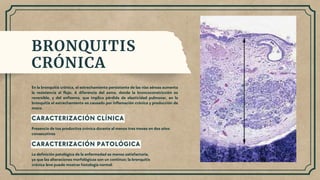 BRONQUITIS
CRÓNICA
En la bronquitis crónica, el estrechamiento persistente de las vías aéreas aumenta
la resistencia al flujo. A diferencia del asma, donde la broncoconstricción es
reversible, y del enfisema, que implica pérdida de elasticidad pulmonar, en la
bronquitis el estrechamiento es causado por inflamación crónica y producción de
moco.
CARACTERIZACIÓN CLÍNICA
Presencia de tos productiva crónica durante al menos tres meses en dos años
consecutivos
CARACTERIZACIÓN PATOLÓGICA
La definición patológica de la enfermedad es menos satisfactoria,
ya que las alteraciones morfológicas son un continuo; la bronquitis
crónica leve puede mostrar histología normal.
 