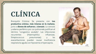 CLÍNICA
Bronquitis Crónica: Se presenta con tos
productiva crónica, más intensa en la mañana,
junto a disnea de esfuerzo y cianosis. La cianosis
y edema periférico por cor pulmonale justifican el
término "congestivo azulado". Las infecciones
recurrentes (Haemophilus influenzae,
Streptococcus pneumoniae) y las
exacerbaciones pueden causar insuficiencia
respiratoria aguda con hipoxemia e hipercapnia.
 