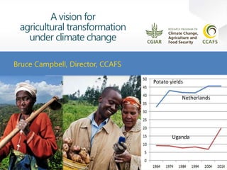 A vision for agricultural transformation under climate change