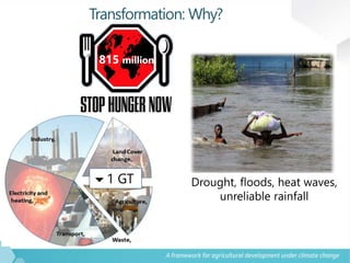 A vision for agricultural transformation under climate change