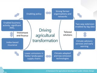 A vision for agricultural transformation under climate change