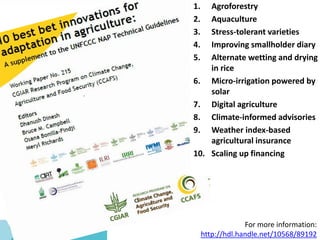 A vision for agricultural transformation under climate change