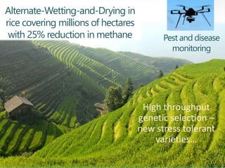 A vision for agricultural transformation under climate change