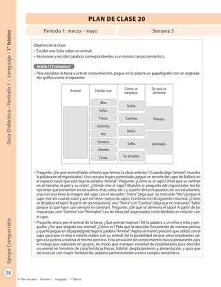 58
GuíaDidáctica-Período1-Lenguaje-1°básicoApoyoCompartido
Plan de clase - Período 1 - Lenguaje - 1º Básico
Objetivo de la clase:
•	 Escribir una ficha sobre un animal.
•	 Reconocer y escribir palabras correspondientes a un mismo campo semántico.
Inicio (15 minutos)
•	 Para socializar la tarea y activar conocimientos, pegue en la pizarra un papelógrafo con un organiza-
dor gráfico como el siguiente:
•	 Pregunte: ¿De qué animal habla el texto que leímos la clase anterior? (Cuando diga“animal”, muestre
la palabra en el organizador). Una vez que hayan contestado, pegue un recorte del sapo de Bullock en
el espacio vacío que está bajo la palabra “Animal”. Pregunte: ¿Cómo es el sapo? (Pida que se centren
en el tamaño, la piel y su color). ¿Dónde vive el sapo? Muestre la pregunta del organizador, lea las
opciones que presentan los recuadros (mar, selva, etc.) y, a partir de las respuestas de sus estudiantes,
una con una línea la imagen del sapo con el recuadro “Tierra”(diga que no marcarán “Río”porque el
sapo vive ahí cuando nace y aún no tiene cuerpo de sapo). Continúe con la siguiente columna: ¿Cómo
se desplaza el sapo? A partir de las respuestas, una“Tierra”con“Camina”(diga que no marcarán“Salta”
porque lo que hace casi siempre es caminar). Pregunte: ¿De qué se alimenta el sapo? A partir de las
respuestas, unir“Camina”con“Animales”. Lea las ideas del organizador conectándolas en relación con
el sapo.
•	 Pregunte ahora por el animal de la tarea: ¿Qué animal trajeron? Dé la palabra a un niño o niña y pre-
gunte: ¿Por qué elegiste ese animal? ¿Cómo es? Pida que lo describa físicamente de manera precisa
y que lo pegue en el papelógrafo bajo la palabra“Animal”. Repita el mismo proceso que utilizó con el
sapo para que el niño o niña lo realice con su animal. Dé la posibilidad de que otros estudiantes sal-
gan a la pizarra a realizar el mismo ejercicio. Esta activación de conocimientos busca prepararlos para
el trabajo que realizarán en grupos, de modo que manejen variedad de posibilidades para describir
un animal en términos de características físicas, hábitat, desplazamiento y alimentación, y para que
reconozcan con mayor facilidad las palabras pertenecientes a estos campos semánticos.
PLAN DE CLASE 20
Animal Dónde vive
Cómo se
desplaza
De qué se
alimenta
Mar.
Selva.
Tierra.
Desierto.
Río.
Campos.
Árboles
Casas.
Plantas.
Animales.
Vuela.
Camina.
Nada.
Salta.
Se arrastra.
Período 1: marzo - mayo Semana 5
 