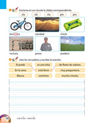 1
Encierra en un círculo la sílaba correspondiente.
claridad
preso
chicle
pradera
cla precle praclu
2
Une los recuadros y escribe la oración.
bicicleta
recluta
El prado de flores de colores.es una niña
Blanca mucho choclo.comimos
En la cena muy preguntona.está lleno
&ciento &veinte120
 
