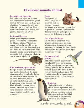 &ciento &cincuenta y &siete
Las redes de la araña
Las redes que tejen las arañas
son 5 veces más resistentes que el
acero y 30 veces más elásticas que
el nailon. Pero además, son tan
livianas, que una red que diera la
vuelta alrededor de la Tierra, no
pesaría más que un jabón.
La increíble rata
Sabes que una pequeña rata
puede tener hasta 12 camadas
de 22 crías al año. Y también
puede nadar durante 72 horas
seguidas y lanzarse de una altura
de 15 metros sin sufrir daño. Pero
además, puede pasar por huecos de
poco más de 1 centímetro y brincar
casi 1 metro. ¡Qué ágil!
Una nariz muy particular
El topo es el único mamífero
que puede oler debajo del agua
mientras salen grandes burbujas
de aire de sus fosas nasales. Si
de nariz hablamos, la del
elefante puede tener hasta
2 metros de largo y pesar 150
kilos. Con ella pueden beber
hasta 4 litros de agua de una
vez y además usarla como
mano, brazo y también para
respirar.
Gato
Aunque no lo
creas, los gatos se
orientan con los
bigotes y cuando
extienden sus zarpas, las pezuñas
duplican su tamaño. A diferencia
de los perros, los gatos pueden
mover los dedos por separado.
Las súper ballenas
La ballena es el animal más
grande que existe, es así como
al nacer pesa lo mismo que un
elefante y el primer día después de
nacida sube 90 kilos de peso. ¡Qué
manera de crecer!
La energía del
colibrí
El hermoso colibrí puede batir
sus alas 200 veces por segundo,
por ello necesita un corazón muy
fuerte y grande. En un minuto, su
corazón puede latir hasta 1.200
veces, y puede realizar hasta 500
respiraciones. Para conseguirlo,
debe comer el néctar de unas 1500
flores por día.
Pingüino
El pingüino más grande que
existe es el Emperador, que
puede alcanzar más de 1 metro
de altura, bucear a más de
500 metros de profundidad
y mantener la respiración
durante 15 minutos.
El curioso mundo animal
157
 