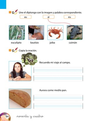 eucalipto bautizo jaiba caimán
au ai eu
&noventa y &cuatro
1
Une el diptongo con la imagen y palabra correspondiente.
2
Copia la oración.
Recuerdo mi viaje al campo.
Aurora come medio pan.
94
 