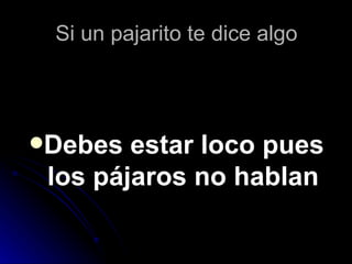 Si un pajarito te dice algo




Debes  estar loco pues
 los pájaros no hablan
 
