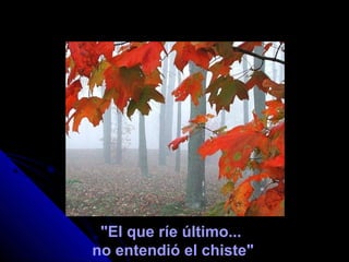 "El que ríe último...
no entendió el chiste"
 