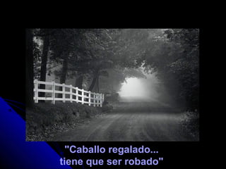 "Caballo regalado...
tiene que ser robado"
 