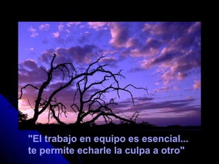"El trabajo en equipo es esencial...
te permite echarle la culpa a otro"
 