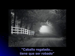 "Caballo regalado...
tiene que ser robado"
 