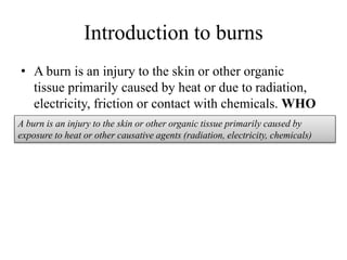 1 Burn rehablitation.pptx