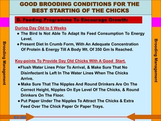 GOOD BROODING CONDITIONS FOR THE
BEST STARTING OF THE CHICKS
D. Feeding Programme To Encourage Growth:
●Flush Water Lines Prior To Arrival, & Make Sure That No
Disinfectant Is Left In The Water Lines When The Chicks
Arrive.
● Make Sure That The Nipples And Round Drinkers Are On The
Correct Height, Nipples On Eye Level Of The Chicks, & Round
Drinkers On The Floor.
● Put Paper Under The Nipples To Attract The Chicks & Extra
Feed Over The Chick Paper Or Paper Trays.
During Day Old to 5 Weeks
● The Bird Is Not Able To Adapt Its Feed Consumption To Energy
Level.
● Present Diet In Crumb Form, With An Adequate Concentration
Of Protein & Energy Till A Body Wt. Of 350 Gm Is Reached.
Key-points To Provide Day Old Chicks With A Good Start.
BV-300
Brooding
Management
Brooding
Management
 