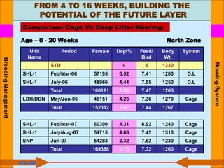 Housing
System
BV-300
Unit
Name
Period Female Depl% Feed/
Bird
Body
Wt.
System
STD 6 8 1330
SHL-1 Feb/Mar-06 57195 6.52 7.41 1280 D.L
SHL-1 July-06 48966 4.44 7.55 1250 D.L
Total 106161 5.56 7.47 1265
LDH/DDN May/Jun-06 46151 4.26 7.36 1270 Cage
Total 152312 5.07 7.44 1267
SHL-1 Feb/Mar-07 60390 4.31 6.92 1240 Cage
SHL-1 July/Aug-07 54715 4.66 7.42 1310 Cage
SNP Jun-07 54283 2.32 7.62 1230 Cage
Total 169388 3.76 7.32 1260 Cage
Age – 0 - 20 Weeks North Zone
Comparison Cage Vs Deep Litter Rearing:
FROM 4 TO 16 WEEKS, BUILDING THE
POTENTIAL OF THE FUTURE LAYER
Brooding
Management
 
