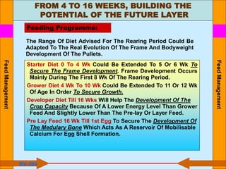 FROM 4 TO 16 WEEKS, BUILDING THE
POTENTIAL OF THE FUTURE LAYER
Feeding Programme:
The Range Of Diet Advised For The Rearing Period Could Be
Adapted To The Real Evolution Of The Frame And Bodyweight
Development Of The Pullets.
BV-300
Starter Diet 0 To 4 Wk Could Be Extended To 5 Or 6 Wk To
Secure The Frame Development. Frame Development Occurs
Mainly During The First 8 Wk Of The Rearing Period.
Grower Diet 4 Wk To 10 Wk Could Be Extended To 11 Or 12 Wk
Of Age In Order To Secure Growth.
Developer Diet Till 16 Wks Will Help The Development Of The
Crop Capacity Because Of A Lower Energy Level Than Grower
Feed And Slightly Lower Than The Pre-lay Or Layer Feed.
Pre Lay Feed 16 Wk Till 1st Egg To Secure The Development Of
The Medulary Bone Which Acts As A Reservoir Of Mobilisable
Calcium For Egg Shell Formation.
Feed
Management
Feed
Management
 