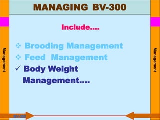 Management
Management
Include….
 Brooding Management
 Feed Management
 Body Weight
Management….
BV-300
MANAGING BV-300
 
