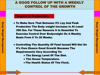 A GOOD FOLLOW UP WITH A WEEKLY
CONTROL OF THE GROWTH
● To Make Sure That Between 5% Lay And Peak
Production The Body weight Increase Is At Least
300 Gm. For These Reasons It Is Essential To
Exercise Control Over Bodyweight On A Weekly
Basis From 0 To 30 Weeks.
● Controlling The Quantity Of Feed Issued Will Not On
It's Own Ensure Good Growth Because The
Requirements Vary According To:
● The Energy Level Of The Diet.
● The House Temperature.
● The Health Status Of The Flock.
Targets In Production:
BV-300
Body
Weight
Management
Body
Weight
Management
 