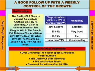 A GOOD FOLLOW UP WITH A WEEKLY
CONTROL OF THE GROWTH
Body
Weight
Management
Body
Weight
Management
Uniformity:
The Quality Of A Flock Is
Judged, As Much As
Anything Else, By Its
Uniformity. A Batch Is
Uniform When All The
Weights Within The Sample
Fall Between Plus And Minus
20 % Of The Mean Or, When
80 % Of The Weights Lie
Within + 10 & -10 % Of The
Mean.
Reasons For Poor Uniformity
● Over Crowding (The Feeder Space & Position).
● Poor Nutrition
● The Quality Of Beak Trimming.
● The Vaccination Stress.
● Disease & Parasitism (Cocci & IBD).
%age of pullets
within +,- 10% of
Average Flock Wt.
Uniformity
85% & above Excellent
80-85% Very Good
70-75% Fair
Less than 70% Unsatisfactory
BV-300
 