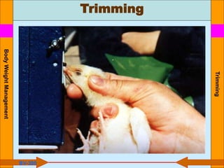 Trimming
Trimming
BV-300
Body
Weight
Management
 