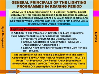 GENERAL PRINCIPALS OF THE LIGHTING
PROGRAMMES IN REARING PERIOD
Lighting
In Addition To The Influence Of Growth, The Light Programme
Plays A Determinant Role For 3 Essential Reasons:
● Progressive Growth Of The Digestive System.
● Gradual Adaptation To A Body Clock ( Above All ,
Anticipation Of A Dark Period ).
● Lack Of Night Time Energy Supply When Dark Periods
are Too Long.
The Observation Of The Feeding Behaviour With The Water
Consumption Shows A First Peak Of Food Intake In The 2 To 3
Hours That Precede A Dark Period, And A Second Peak
Shortly After Lights Come On. The Crop Is Used During These
Peaks Of Consumption As A Storage Organ.
Allow Us To Encourage Growth & To Control The Birds' Sexual
Maturity. For This Reason, Consider It To Be Essential To Achieve
The Recommended Bodyweight At 5 % Lay, In Order To Obtain An
Egg Weight Which Conforms With The Target From Start Of Lay, &
To Achieve High Overall Production.
Lighting Programm
BV-300
Light
Management
 