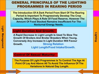 GENERAL PRINCIPALS OF THE LIGHTING
PROGRAMMES IN REARING PERIOD
Lighting
The Introduction Of A Dark Period From Start Of The Rearing
Period Is Important To Progressively Develop The Crop
Capacity, Which Plays A Role Of Food Reserve. However The
Amount Of Food Stocked Remains Insufficient For The
Nocturnal Energy Needs.
A Rapid Decrease In Light Length Is Used To Slow The
Growth Of Broilers And Broiler Breeders When Young.
Conversely Any Increase In Light Duration Will Favour
Growth. Strong Relation
Light Length/Food Intake/Growth.
The Purpose Of Light Programmes Is To Control The Age At
Point Of Lay And Above All To Avoid The Influence Of The
Variations In Natural Day Length.
Light Duration And Growth:
Control Of Sexual Maturity:
BV-300
Light
Management
 
