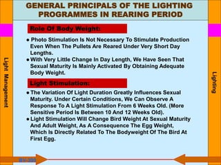 GENERAL PRINCIPALS OF THE LIGHTING
PROGRAMMES IN REARING PERIOD
Lighting
● Photo Stimulation Is Not Necessary To Stimulate Production
Even When The Pullets Are Reared Under Very Short Day
Lengths.
● With Very Little Change In Day Length, We Have Seen That
Sexual Maturity Is Mainly Activated By Obtaining Adequate
Body Weight.
● The Variation Of Light Duration Greatly Influences Sexual
Maturity. Under Certain Conditions, We Can Observe A
Response To A Light Stimulation From 6 Weeks Old. (More
Sensitive Period Is Between 10 And 12 Weeks Old).
● Light Stimulation Will Change Bird Weight At Sexual Maturity
And Adult Weight, As A Consequence The Egg Weight,
Which Is Directly Related To The Bodyweight Of The Bird At
First Egg.
BV-300
Role Of Body Weight:
Light Stimulation:
Light
Management
 