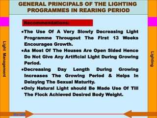 GENERAL PRINCIPALS OF THE LIGHTING
PROGRAMMES IN REARING PERIOD
Lighting
●The Use Of A Very Slowly Decreasing Light
Programme Througout The First 13 Weeks
Encourages Growth.
●As Most Of The Houses Are Open Sided Hence
Do Not Give Any Artificial Light During Growing
Period.
●Decreasing Day Length During Growing
Increases The Growing Period & Helps In
Delaying The Sexual Maturity.
●Only Natural Light should Be Made Use Of Till
The Flock Achieved Desired Body Weight.
BV-300
Recommendations:
Light
Management
 