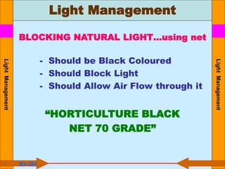 Light Management
Light
Management
Light
Management
BLOCKING NATURAL LIGHT…using net
- Should be Black Coloured
- Should Block Light
- Should Allow Air Flow through it
“HORTICULTURE BLACK
NET 70 GRADE”
BV-300
 