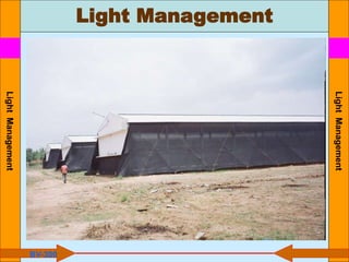 Light Management
Light
Management
Light
Management
BV-300
 