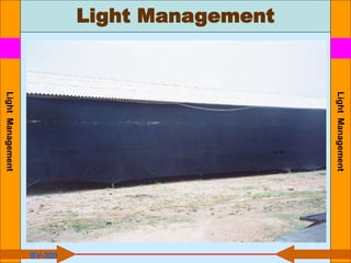 Light Management
Light
Management
Light
Management
BV-300
 