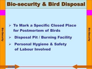 Bio-security & Bird Disposal
Bio-Security
Bio-Security
BV-300
 To Mark a Specific Closed Place
for Postmortem of Birds
 Disposal Pit / Burning Facility
 Personal Hygiene & Safety
of Labour Involved
 