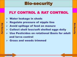 Bio-security
Bio-Security
Bio-Security
BV-300
FLY CONTROL & RAT CONTROL
 Water leakage in sheds
 Regulate pressure of nipple line
 Avoid spillage of feed on manure
 Collect shell less/soft shelled eggs daily
 Use Pesticides on rotational Basis for adult
and larva control
 Grass and weeds trimmed
 