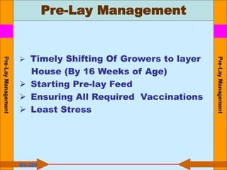 Pre-Lay Management
Pre-Lay
Management
Pre-Lay
Management
BV-300
 Timely Shifting Of Growers to layer
House (By 16 Weeks of Age)
 Starting Pre-lay Feed
 Ensuring All Required Vaccinations
 Least Stress
 