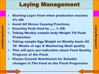 Laying Management
Laying
Management
Laying
Management
BV-300
 Starting Layer Feed when production reaches
5% HD
 Avoid All Stress Causing Practices
 Ensuring Peak feed by ….. % HD
 Taking Weekly sample body Weight Till Peak
Production
 Taking sample Egg Weight on Weekly basis till
30 Weeks of age & Monitoring Shell quality
 This will give you indication about Feed Quality,
Progress of the Flock
 Please Consult Nutritionist for Suitable
changes in The Feed as the Flock Progresses
 
