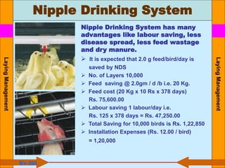 Nipple Drinking System
Laying
Management
Laying
Management
BV-300
Nipple Drinking System has many
advantages like labour saving, less
disease spread, less feed wastage
and dry manure.
 It is expected that 2.0 g feed/bird/day is
saved by NDS
 No. of Layers 10,000
 Feed saving @ 2.0gm / d /b i.e. 20 Kg.
 Feed cost (20 Kg x 10 Rs x 378 days)
Rs. 75,600.00
 Labour saving 1 labour/day i.e.
Rs. 125 x 378 days = Rs. 47,250.00
 Total Saving for 10,000 birds is Rs. 1,22,850
 Installation Expenses (Rs. 12.00 / bird)
= 1,20,000
 