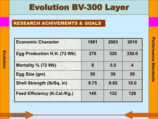 Evolution BV-300 Layer
Performance
Standards
Economic Character 1981 2003 2010
Egg Production H.H. (72 Wk) 270 320 330.0
Mortality % (72 Wk) 8 5.5 4
Egg Size (gm) 58 59 59
Shell Strength (lb/Sq. in) 9.75 9.85 10.0
Feed Efficiency (K.Cal./Kg.) 145 132 128
RESEARCH ACHIVEMENTS & GOALS
BV-300
Evolution
 