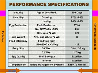 PERFORMANCE SPECIFICATIONS
Performance
Standards
Maturity Age at 50% Prod. 150 Days
Livability Growing 97% - 98%
Laying 94% - 96%
Egg Production Peak Production 97%+
No. Of Weeks >90% 25+
H.H. upto 72 Wk. 320
Egg Weight Avg. Egg Wt. to 72 Wk 59
Feed Efficiency Feed/Egg (gm)
2400-2500 K Cal/Kg 128
Body Size 20 Wks. 1.3 to 1.36 Kg
72 Wks. 1.7 Kg
Egg Quality Shell Strength Excellent
Interior Excellent
Temperament Variety Management Systems Easy To Handel
BV-300
Evolution
 