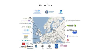 Consortium
 