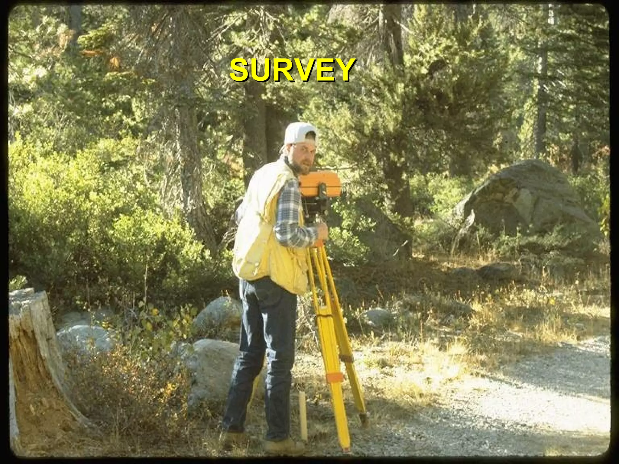 SURVEYSURVEY
 