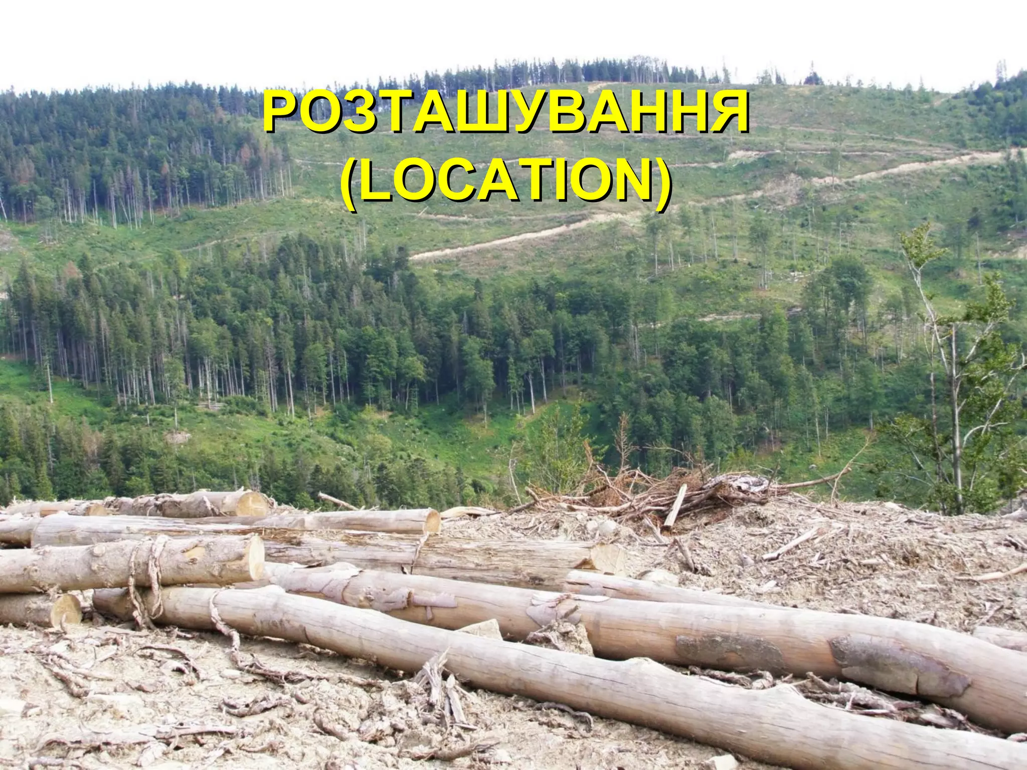 РОЗТАШУВАННЯРОЗТАШУВАННЯ
(LOCATION)(LOCATION)
 