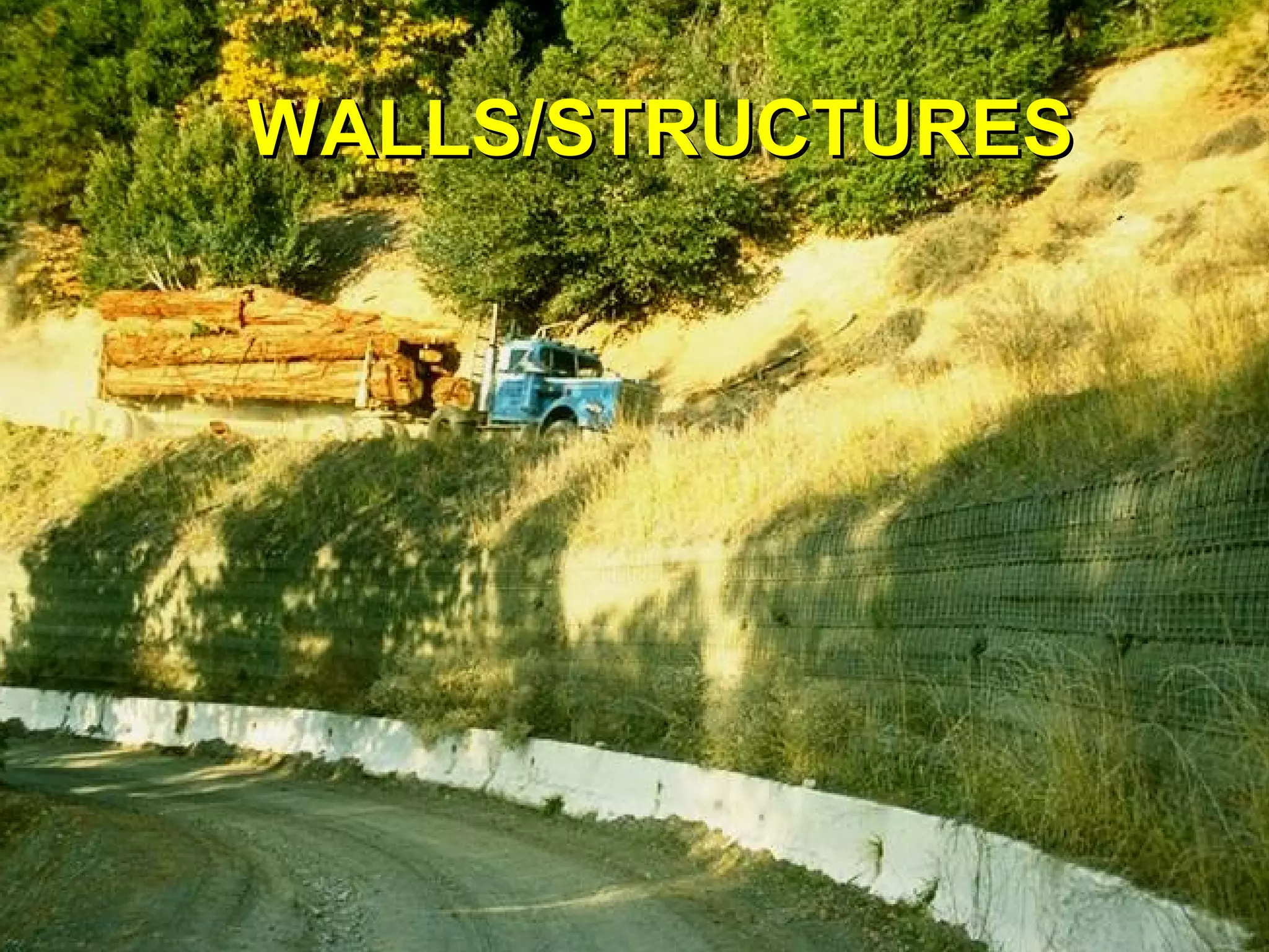 WALLS/STRUCTURESWALLS/STRUCTURES
 