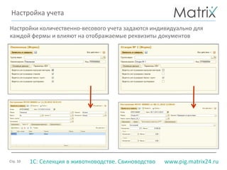 Стр. 10 www.pig.matrix24.ru1С: Селекция в животноводстве. Свиноводство
Настройка учета
Настройки количественно-весового учета задаются индивидуально для
каждой фермы и влияют на отображаемые реквизиты документов
 