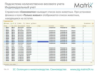 Стр. 11 www.pig.matrix24.ru1С: Селекция в животноводстве. Свиноводство
Справочник «Свиноматки» выводит список всех животных. При установке
флажка в поле «Только живые» отображается список животных,
находящихся на остатке.
Подсистема количественно-весового учета
Индивидуальный учет
 