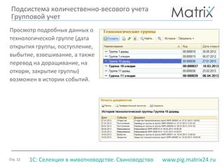 Стр. 12 www.pig.matrix24.ru1С: Селекция в животноводстве. Свиноводство
Просмотр подробных данных о
технологической группе (дата
открытия группы, поступление,
выбытие, взвешивание, а также
перевод на доращивание, на
откорм, закрытие группы)
возможен в истории событий.
Подсистема количественно-весового учета
Групповой учет
 