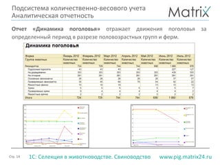 Стр. 14 www.pig.matrix24.ru1С: Селекция в животноводстве. Свиноводство
Отчет «Динамика поголовья» отражает движения поголовья за
определенный период в разрезе половозрастных групп и ферм.
Подсистема количественно-весового учета
Аналитическая отчетность
 