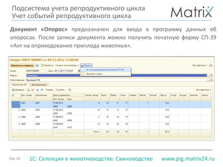 Стр. 15 www.pig.matrix24.ru1С: Селекция в животноводстве. Свиноводство
Документ «Опорос» предназначен для ввода в программу данных об
опоросах. После записи документа можно получить печатную форму СП-39
«Акт на оприходование приплода животных».
Подсистема учета репродуктивного цикла
Учет событий репродуктивного цикла
 